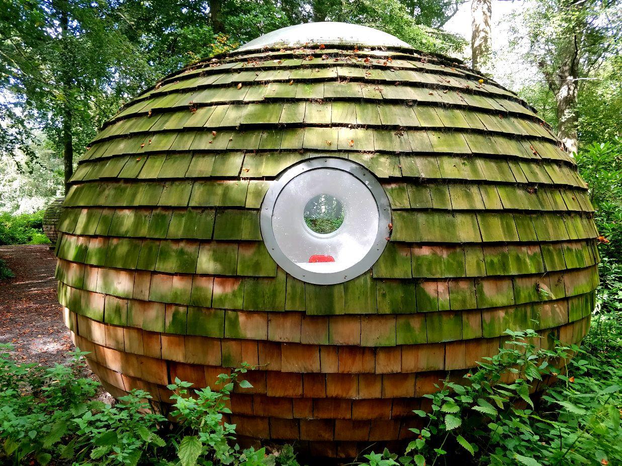 LICA office pod among the trees